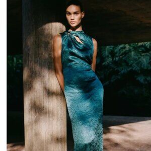 Zara gold appliqué satin midi dress